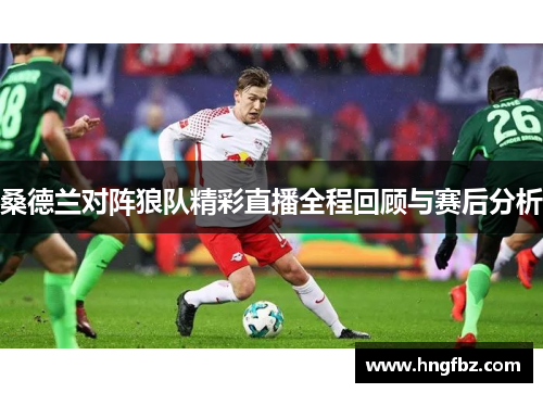 桑德兰对阵狼队精彩直播全程回顾与赛后分析