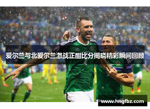 爱尔兰与北爱尔兰激战正酣比分揭晓精彩瞬间回顾